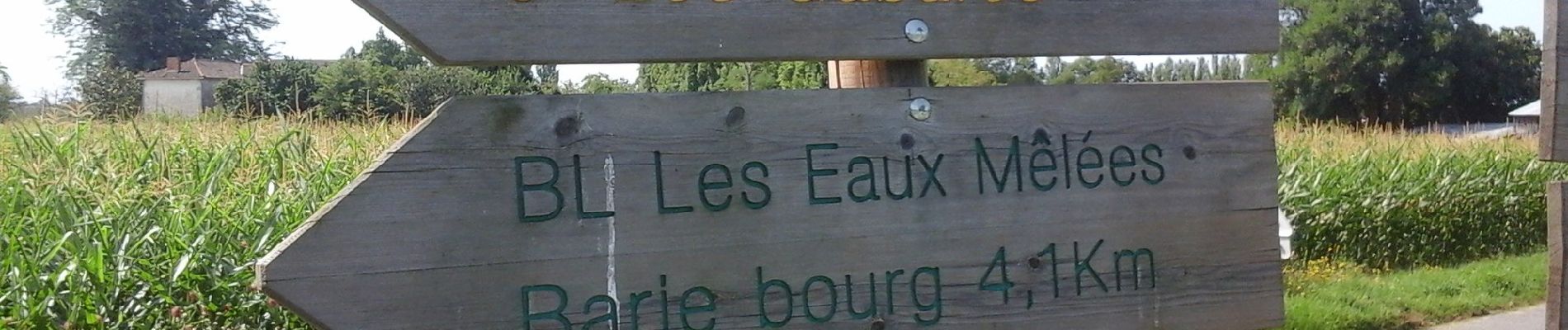 Randonnée A pied Langon - Les Gabares : circuit départemental - Photo