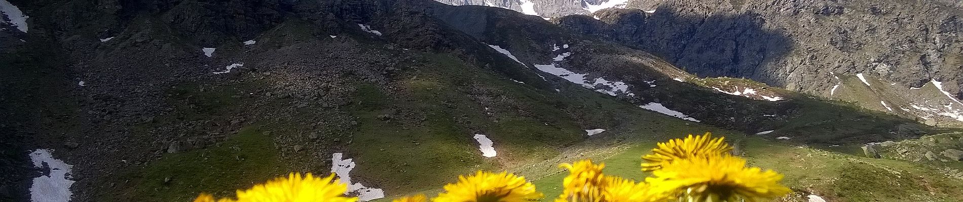 Tour Zu Fuß Brossasco - Celle di Macra - Pian Melzè - Photo