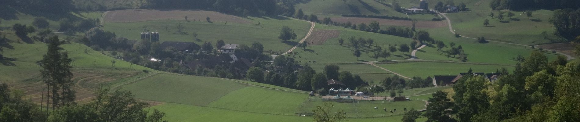 Randonnée A pied Thalheim - Zeiher Homberg - Eichwald - Photo