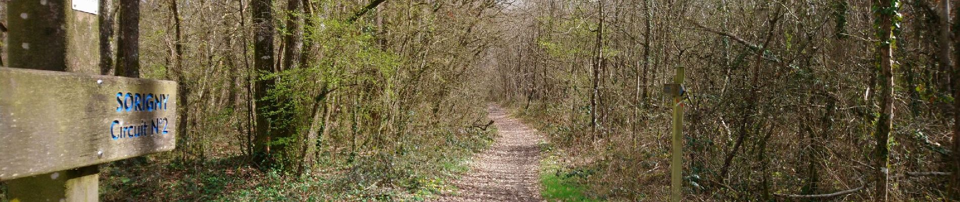 Trail Walking Sorigny - Sorigny - 10.6km 45m 2h10 - 2018 03 18 - Photo