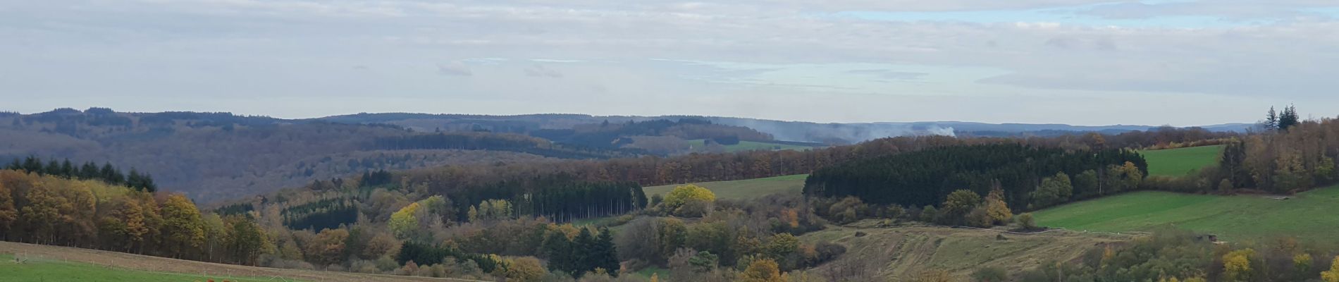 Tour Wandern Wellin - rando ornitho daverdisse 9/11/2020 - Photo