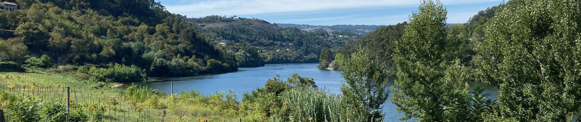 Randonnée Marche Sobrado e Bairros - Castelo de Paiva - Douro (GR60) - Photo