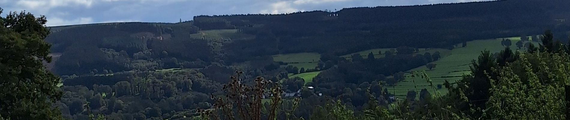 Tour Wandern Stoumont - stoumont ( Promenade de la Corniche  - Photo