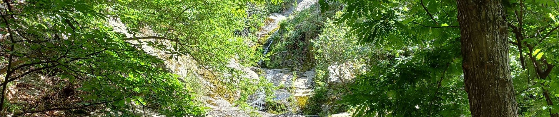 Tour Wandern Vernet-les-Bains - Col de Llavent et Abbaye St Martin du Canigou - Photo