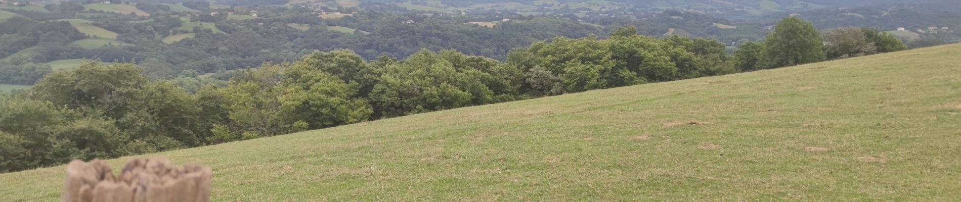 Excursión Bici de montaña Saint-Pée-sur-Nivelle - st pee sur Nivelle  - Photo