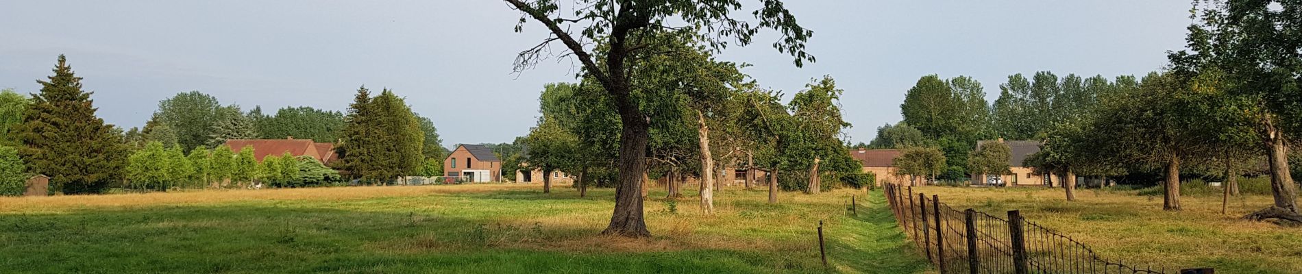 Tocht Stappen Chièvres - Wapi 3.06 - La ronde des Piecentes - Photo