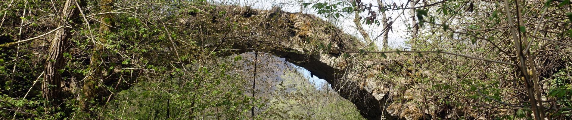 Trail Walking Saint-Alban-Leysse - St-Alban-Curienne-2021-04-24 - Photo