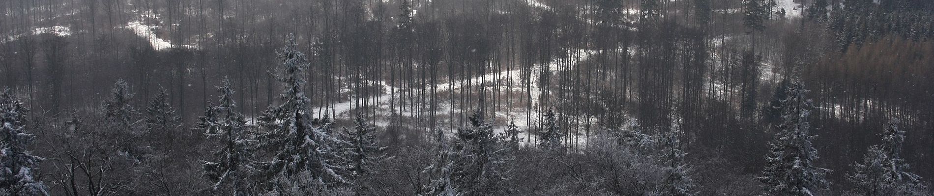 Randonnée A pied Südharz - Wanderweg 