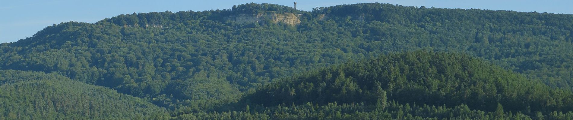 Trail On foot Treffurt - Premiumweg Heldrastein - Photo