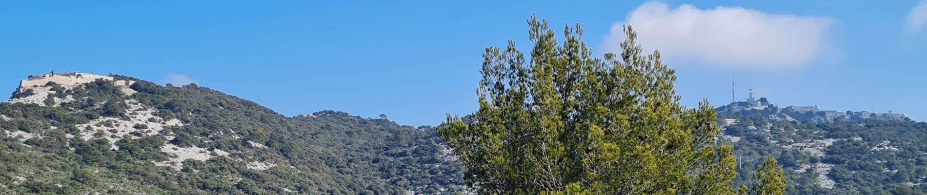 Trail Walking La Valette-du-Var - coudon sud et crête ouest - Photo