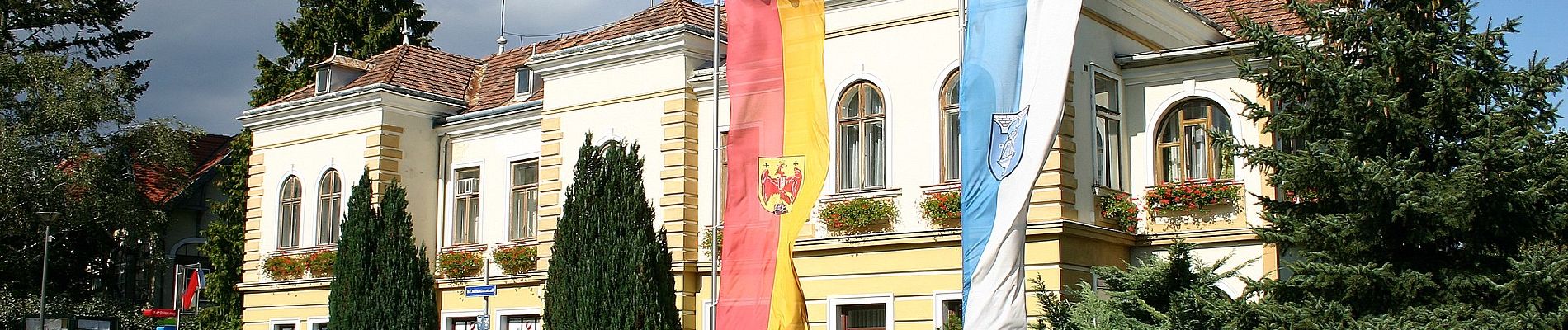 Tour Zu Fuß Gemeinde Bad Sauerbrunn - NW Lazawiese (Bad Sauerbrunn) - Photo