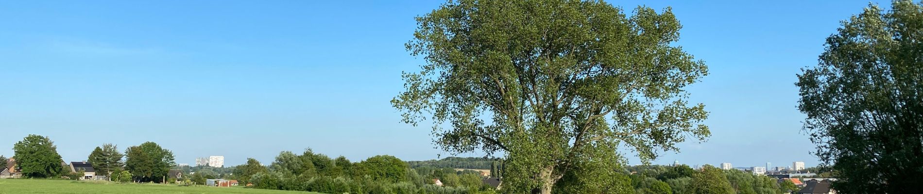 Randonnée Marche Asse - Relleghem 6 km - Photo