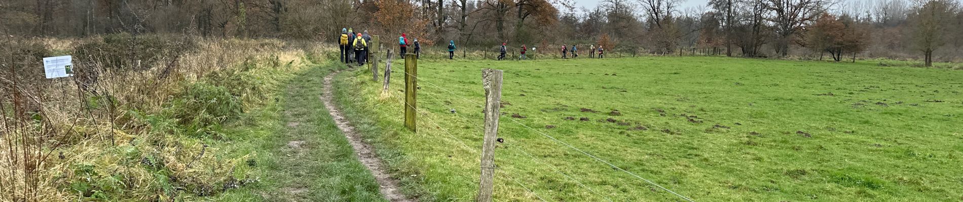 Tocht Stappen Huldenberg - Neerijse 22,5 km - Photo