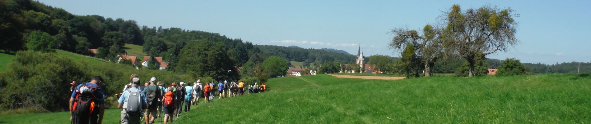 Trail Walking Lembach - Linéaire depuis Pfaffenbronn. - Photo
