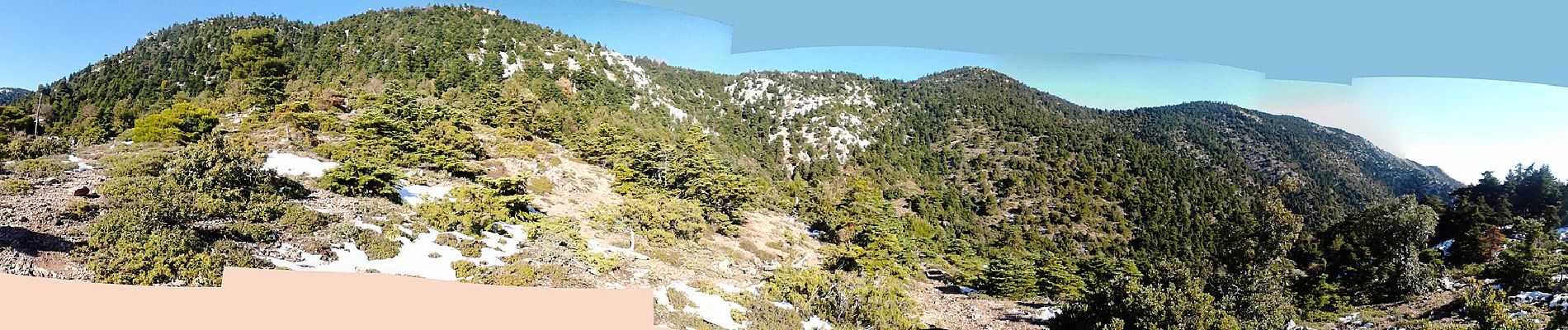 Excursión A pie Δημοτική Ενότητα Αχαρνών - Θρακομακεδόνες - Καταφύγιο Φλαμπούρι - Photo