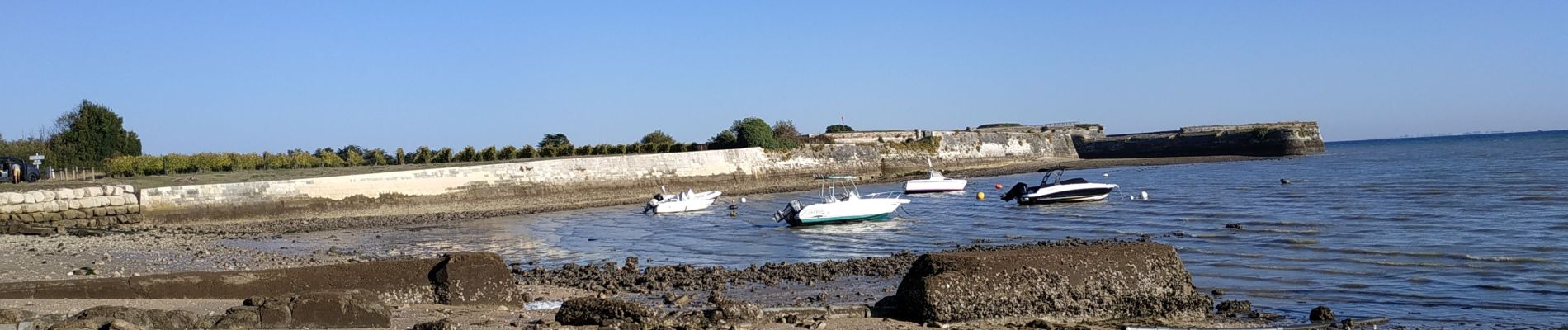 Percorso Marcia La Flotte - 2024-09-19 île de ré) abbaye et fort de la pré - Photo