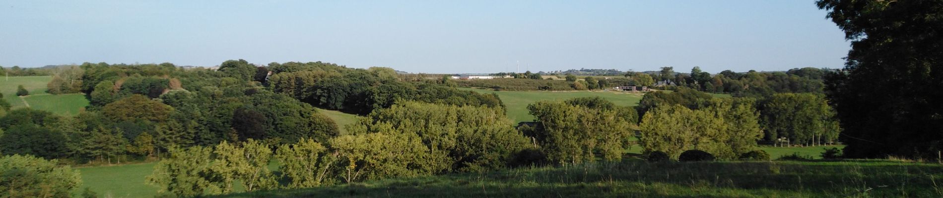 Tocht Stappen Dalhem - dalhem -  mons Bombaye  - Photo