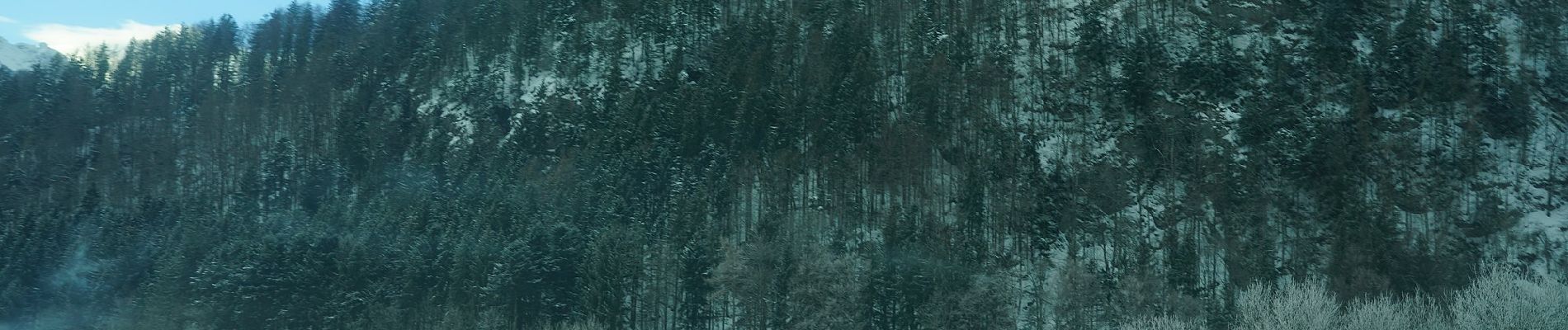 Tocht Te voet St. Wolfgang im Salzkammergut - Bürglsteig - Photo