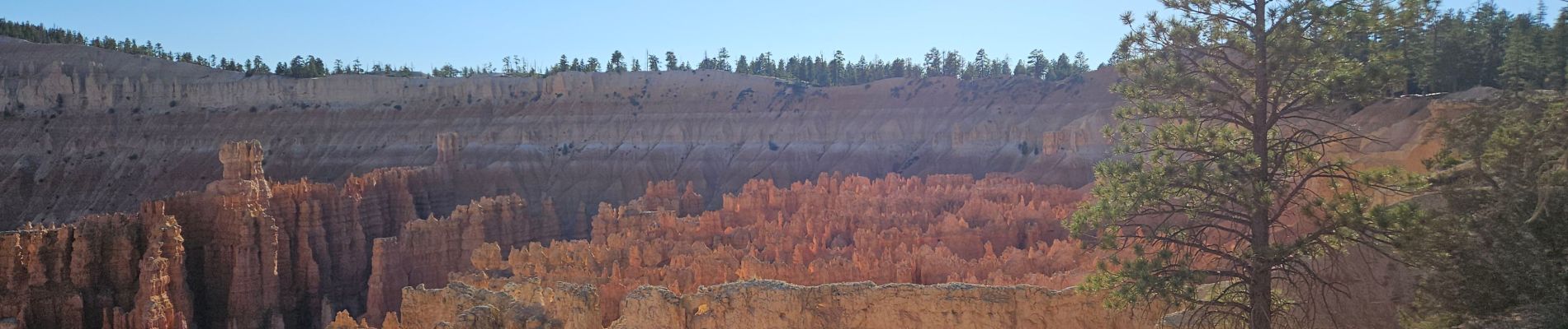 Tocht Stappen Unknown - 2024 Bryce Canyon Rim Trail - Photo