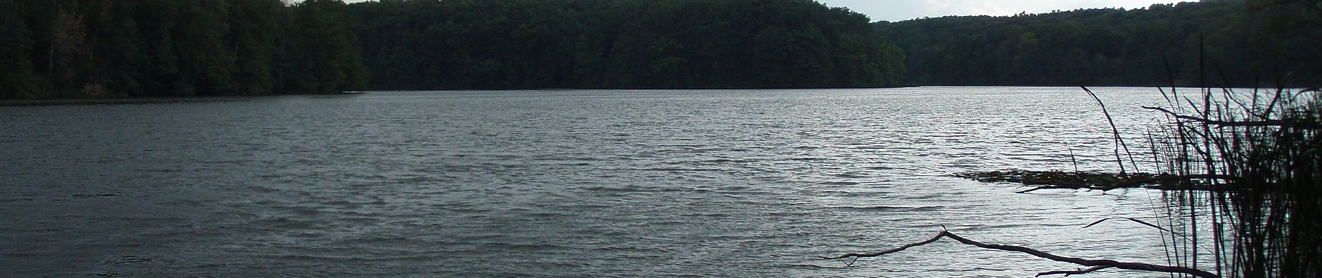 Tour Zu Fuß Grunow-Dammendorf - Rund um Siehdichum. - Photo