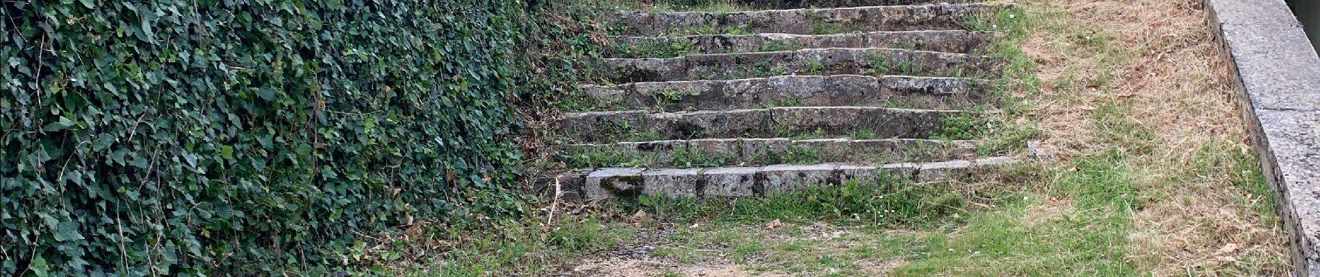 Randonnée Marche Ligugé - Voie de Tours Ligugé - Lusignan - Photo