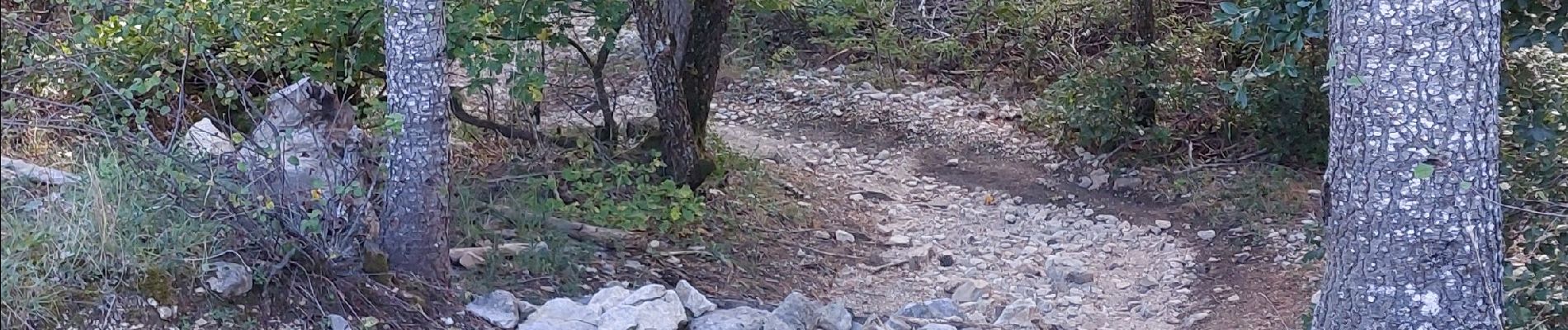 Excursión Bici de montaña Mormoiron - Plaine de l'escalier / Enduro Rouge - Photo