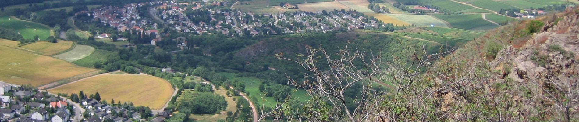 Trail On foot Bad Kreuznach - INTROtour Rotenfels - Photo