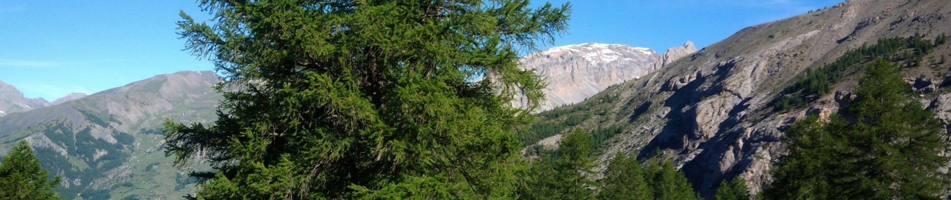 Tocht Stappen Saint-Paul-sur-Ubaye - Fouillouse Col de Volonnet - Photo