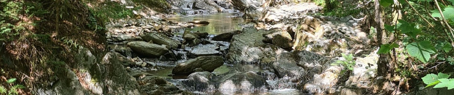 Tour Wandern Weismes - Barrage route - Photo