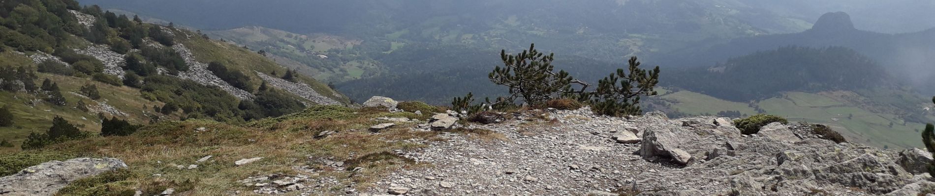 Excursión Senderismo Les Estables - Et Mezenc - Photo