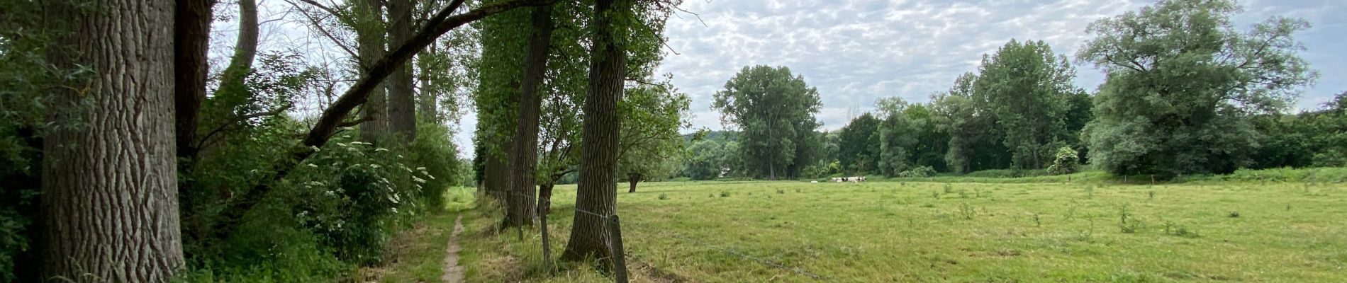 Randonnée Marche Huldenberg - Pecrot 22 km - Photo