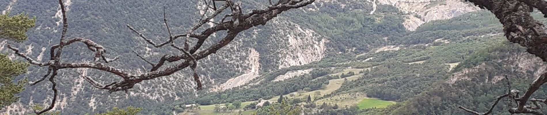 Tour Wandern Montferrand-la-Fare - le col viaran - Photo