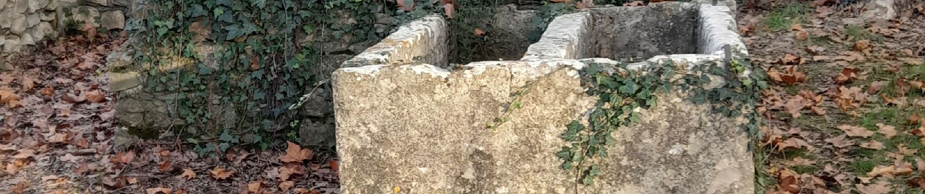 Tocht Stappen Valflaunès - L'hortus et château de Vivourès - Photo