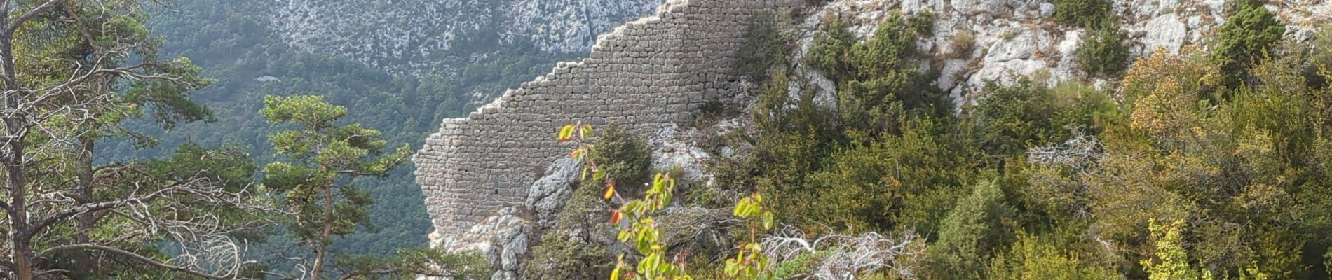 Randonnée Marche La Bastide - La Bastide-Lachens - Photo