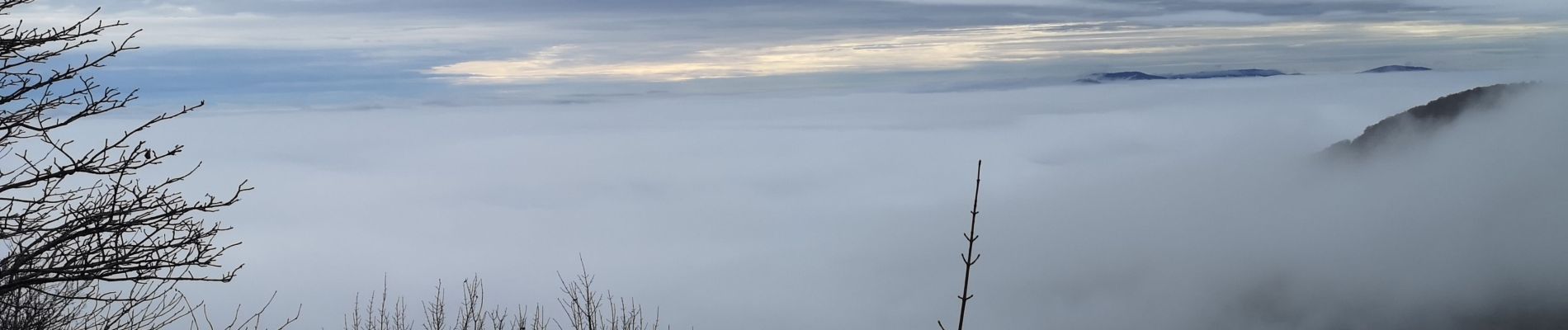 Percorso Marcia Soultz-Haut-Rhin - grand ballon pat - Photo