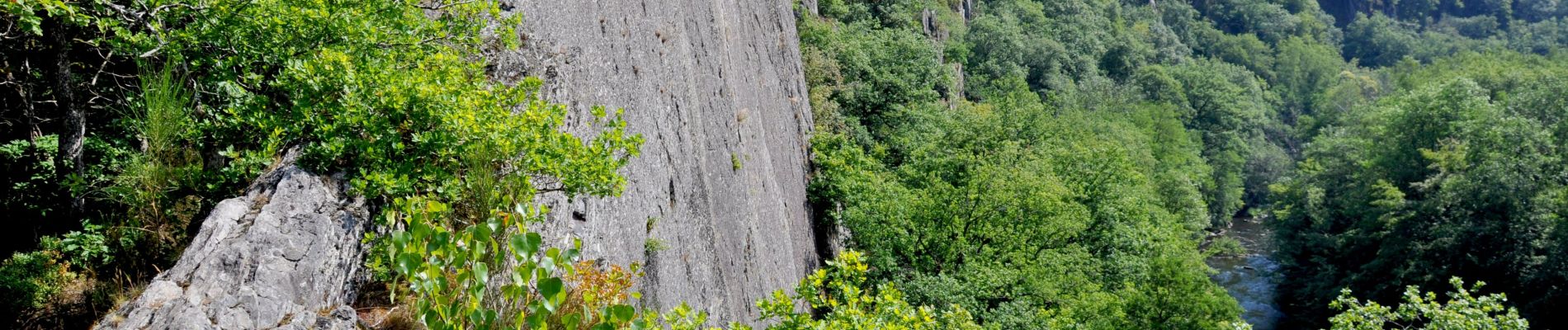 Tocht Stappen Houffalize - 2019-08-06_12h19m05_Balades de RTL  Hérou - Photo