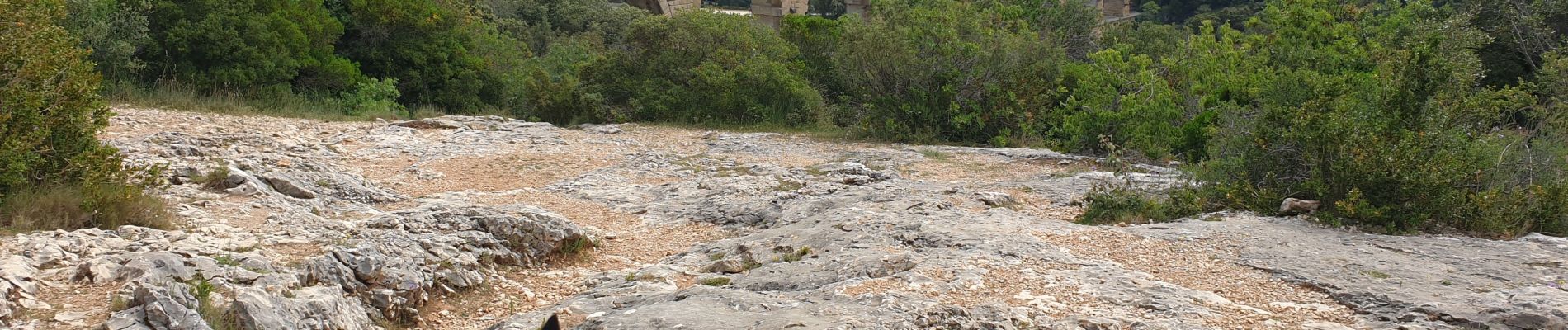 Tocht Stappen Vers-Pont-du-Gard - pont du Gard  - Photo