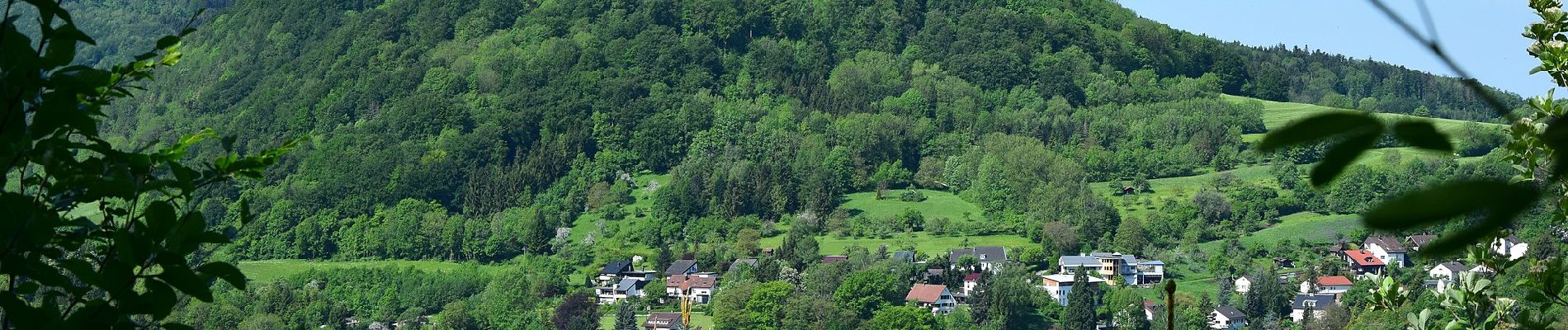 Trail On foot Heubach - Heubach Wanderweg 5 