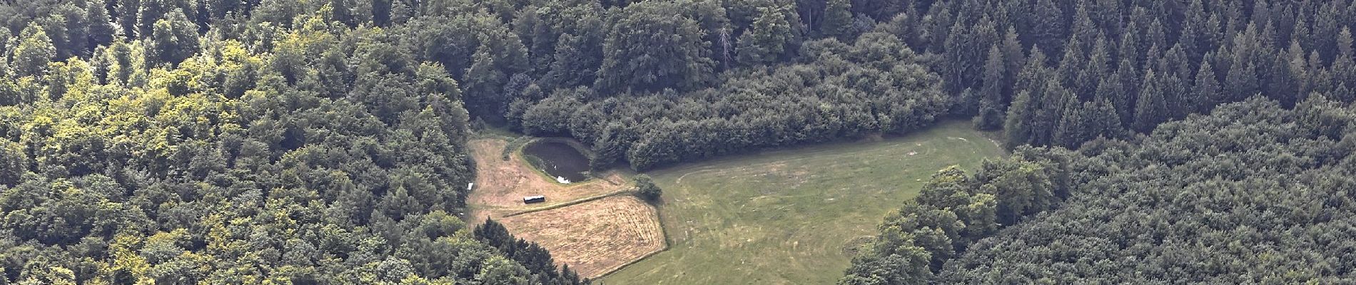 Tour Zu Fuß Kalbach - Kalbach Wanderweg Sparhof 7 - Photo