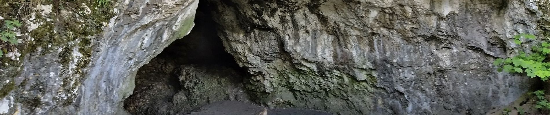 Excursión A pie Csobánka - Mackó-barlang ösvény (Csobánka, Oszoly-pihenő - Mackó-barlang - Csobánka, Oszoly-pihenő) - Photo