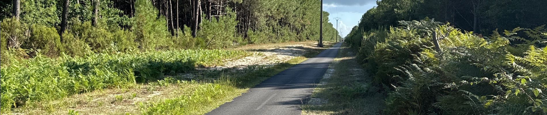 Percorso  Vendays-Montalivet - VTT - Photo