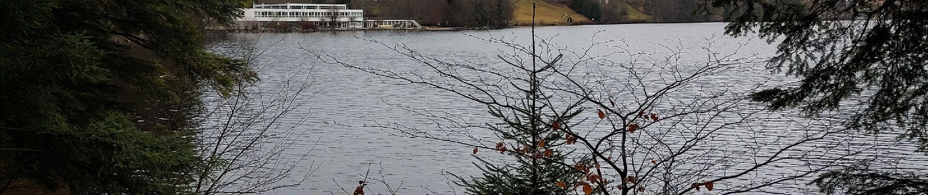 Tocht Stappen Gérardmer - tour du lac  - Photo