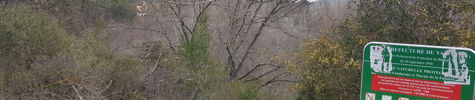 Tour Wandern Les Adrets-de-l'Estérel - St Cassien - Photo