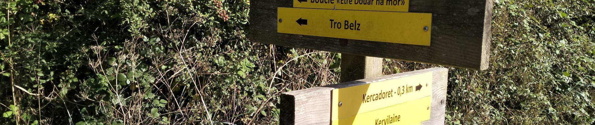 Tour Wandern Belz - 56-Belz_sentier_cotier_11kmD70m - Photo