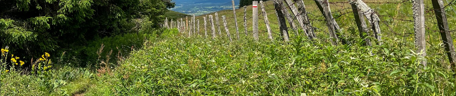 Tour Wandern Orcival - Lac de Servières à partir du Café du Lac - Photo