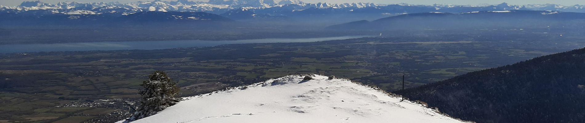 Tour Schneeschuhwandern Gex - La Faucille_Montrond 11km 20200220 - Photo