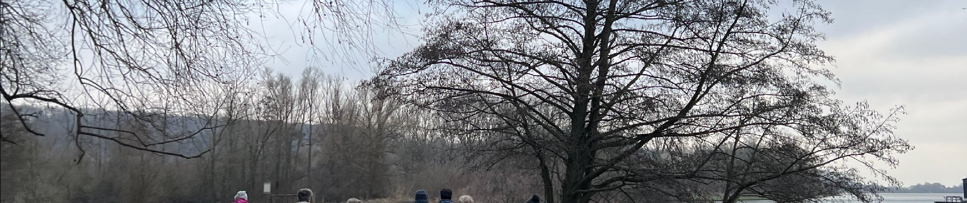 Tocht Stappen Eijsden-Margraten - Eijsden - Photo