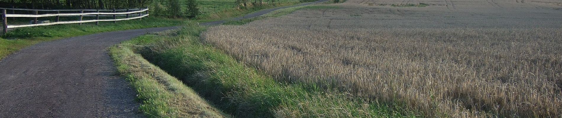 Randonnée A pied Inconnu - Bankerydsleden - Photo