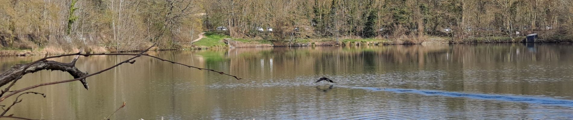 Randonnée Marche Versailles - Versailles Fontenay  - Photo