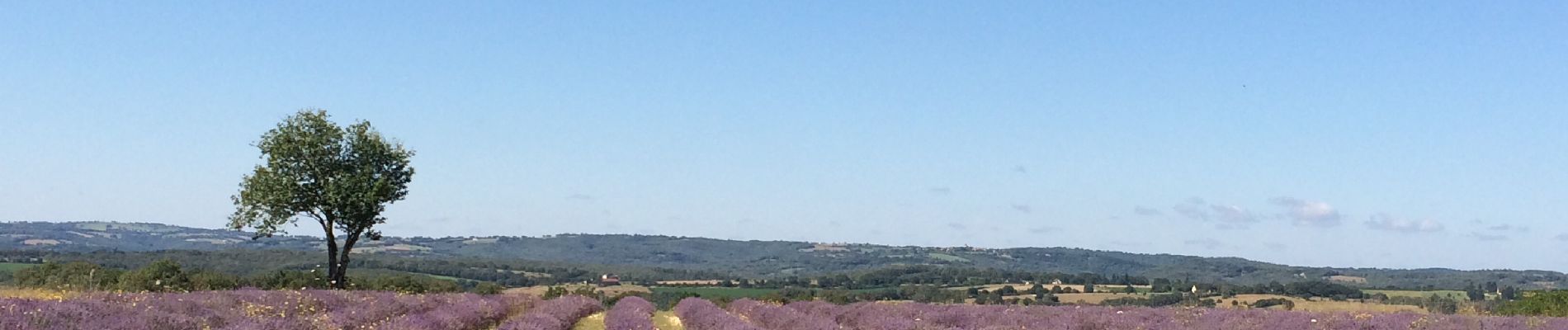 Trail Walking Rocamadour - Rocamadour cougnaguet calouet - Photo